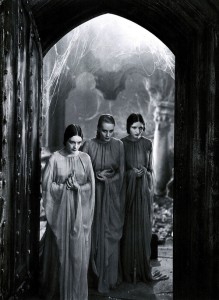 The weird sisters or brides of Dracula represent worlds of mystery due to their nonexistent role in the story. They also bring up some really weird questions of vampiric incest and polygammy.   