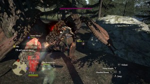In it's best moments, Dragons Dogma is a game about punshing a dragon in the face