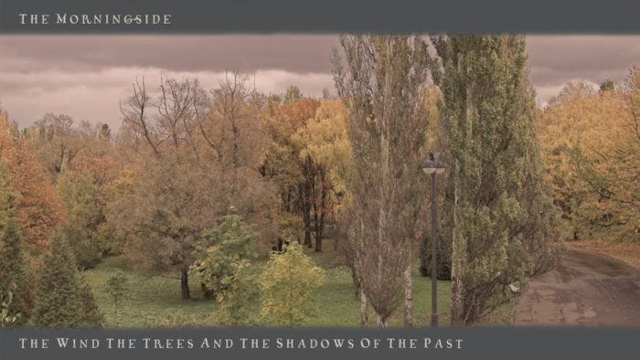 THE MORNINGSIDE – The Wind, The Trees And The Shadows Of The Past